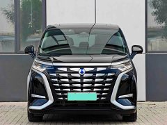 Denza D9 DM-i 1050 Premium - ფოტო 2