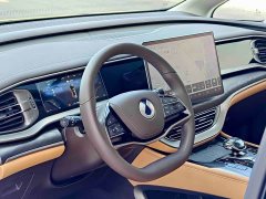 Denza D9 DM-i 1050 Premium - ფოტო 8