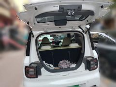 Geely Panda Mini New Spring Edition Treasure Bear - ფოტო 15