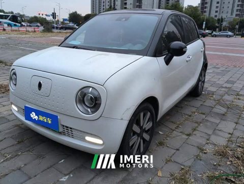 2021 Ora Black Cat 351km Edition - ავტომობილი ჩინეთიდან