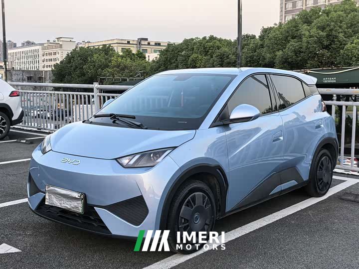 BYD Seagull 305km Vitality Edition - ავტომობილი ჩინეთიდან