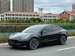 Tesla Model 3 Rear-Wheel Drive - ფოტო 1