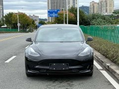 Tesla Model 3 Rear-Wheel Drive - ფოტო 6