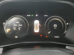 Geely Xingrui 2.0T Diesel Premium Edition - ფოტო 14
