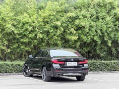 BMW 5 Series 530Li Premier M Sport Package - ფოტო 8