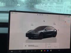 Tesla Model 3 Long Range All-Wheel Drive - ფოტო 14