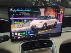 Geely Xing Yuan 310km Dream Edition - ფოტო 13