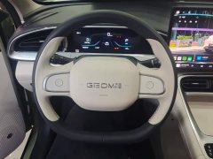 Geely Xing Yuan 310km Dream Edition - ფოტო 15