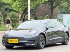 Tesla Model 3 Standard Range RWD Upgrade 3D6 - ფოტო 1