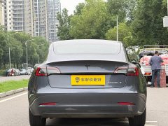 Tesla Model 3 Standard Range RWD Upgrade 3D6 - ფოტო 10
