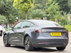Tesla Model 3 Standard Range RWD Upgrade 3D6 - ფოტო 11