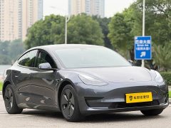 Tesla Model 3 Standard Range RWD Upgrade 3D6 - ფოტო 3