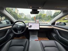 Tesla Model 3 Standard Range RWD Upgrade 3D6 - ფოტო 6
