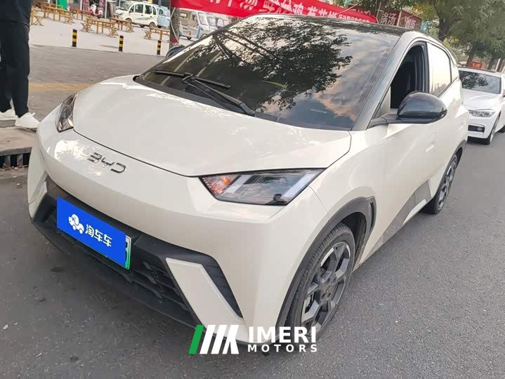 BYD Seagull 305km Freedom Edition - ავტომობილი ჩინეთიდან