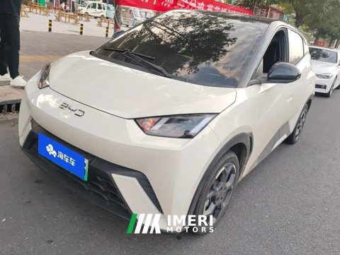 2024 BYD Seagull 305km Freedom Edition - ავტომობილი ჩინეთიდან