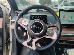 BYD Seagull 305km Freedom Edition - ფოტო 15