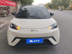 BYD Seagull 305km Freedom Edition - ფოტო 2