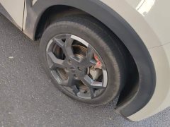 BYD Seagull 305km Freedom Edition - ფოტო 6