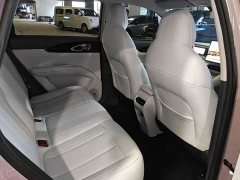 Geely Star Wish 410km Explorer Edition - ფოტო 11