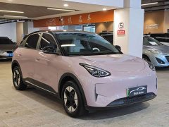 Geely Star Wish 410km Explorer Edition - ფოტო 3