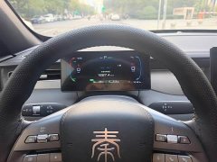 BYD Qin PLUS DM-i 128KM Entry-Level - ფოტო 9