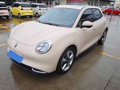 ORA Good Cat 401km Standard Range Deluxe Edition LFP Battery - ფოტო 1