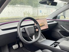 Tesla Model 3 High Performance All-Wheel Drive - ფოტო 6