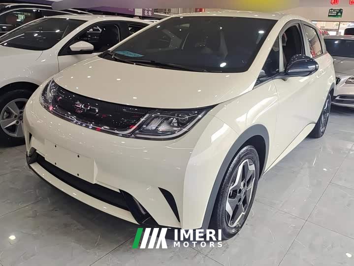 BYD Dolphin 420km Vitality Edition - ავტომობილი ჩინეთიდან