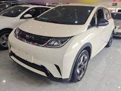 BYD Dolphin 420km Vitality Edition - ფოტო 1