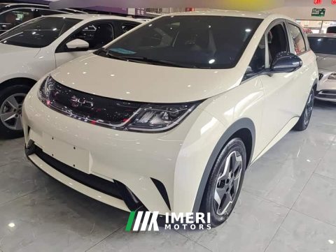 2024 BYD Dolphin 420km Vitality Edition - ავტომობილი ჩინეთიდან