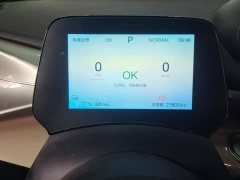 BYD Dolphin 420km Vitality Edition - ფოტო 14
