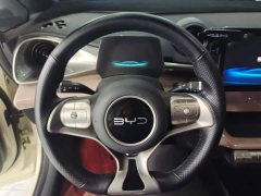 BYD Dolphin 420km Vitality Edition - ფოტო 15