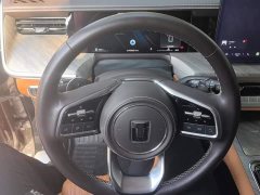 Tank 500 3.0T Sport Landscape Edition 5-Seater - ფოტო 15