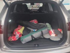 Geely Xingyue L 2.0TD DCT EVO FWD Long Wind Edition - ფოტო 4