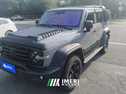 2025 Tank 300 2.0T Gasoline Challenger - ავტომობილი ჩინეთიდან