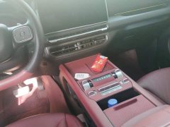 Tank 300 2.0T Gasoline Challenger - ფოტო 16