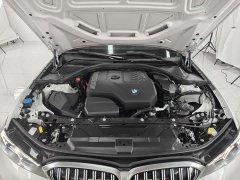 BMW 3 Series 320Li M Sport Package - ფოტო 19