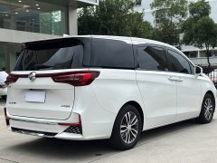 Buick GL8 ES Luxe 653T Comfort - ფოტო 4