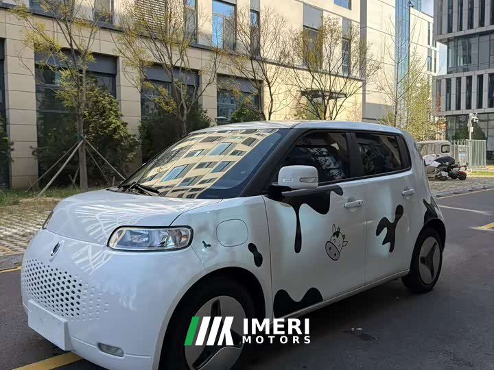 ORA White Cat 360km Luxury - ავტომობილი ჩინეთიდან