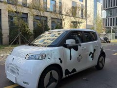 ORA White Cat 360km Luxury - ფოტო 1
