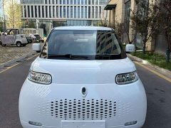ORA White Cat 360km Luxury - ფოტო 2