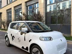 ORA White Cat 360km Luxury - ფოტო 3
