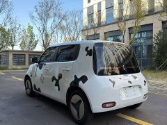 ORA White Cat 360km Luxury - ფოტო 7