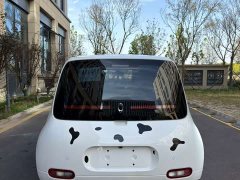 ORA White Cat 360km Luxury - ფოტო 8
