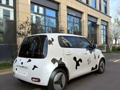 ORA White Cat 360km Luxury - ფოტო 9