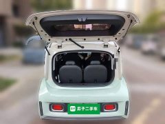 Baojun KiWi EV DJI Edition LFP Battery - ფოტო 15