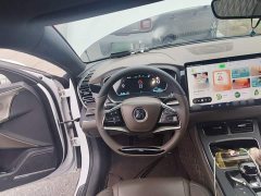 BYD Han DM AWD Performance Luxury Edition - ფოტო 6