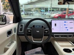 Li Auto L6 Pro Smart Refresh Edition - ფოტო 8