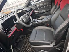 Changan X5 PLUS 1.5T DCT Pioneer Trim - ფოტო 4