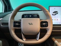 Li Auto i6 Two-Wheel Drive Standard - photo 11